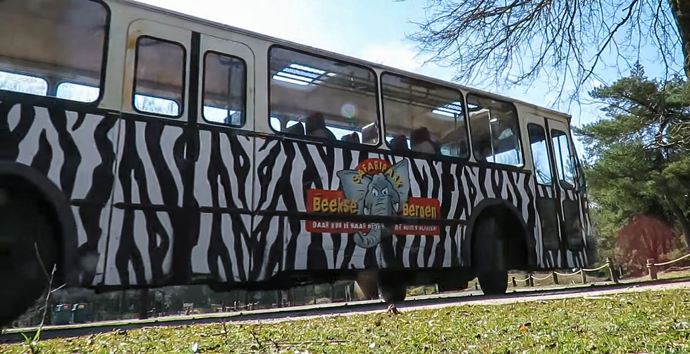 Safaripark Beekse Bergen stopt met bussafari in zomerseizoen