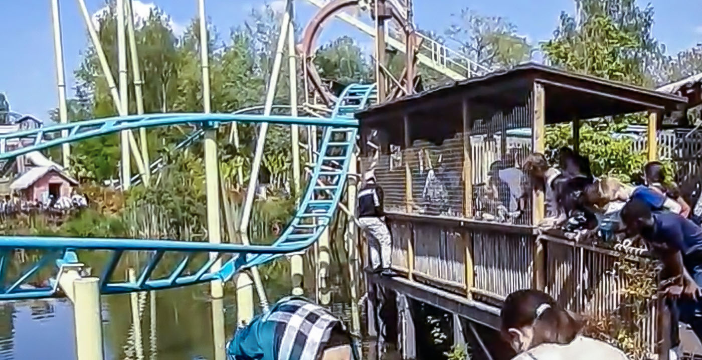 Video: bezoeker haalt halsbrekende toeren uit bij achtbaan in Walibi Belgium