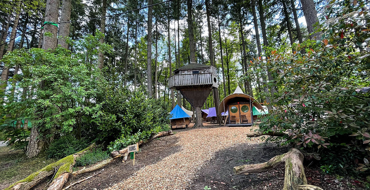 Dit jaar geen camping bij Burgers' Zoo: 'Valt helaas niet te combineren'