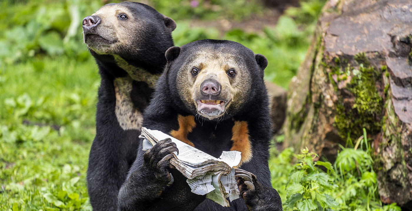 Historie van Burgers' Zoo staat centraal in nieuw boek