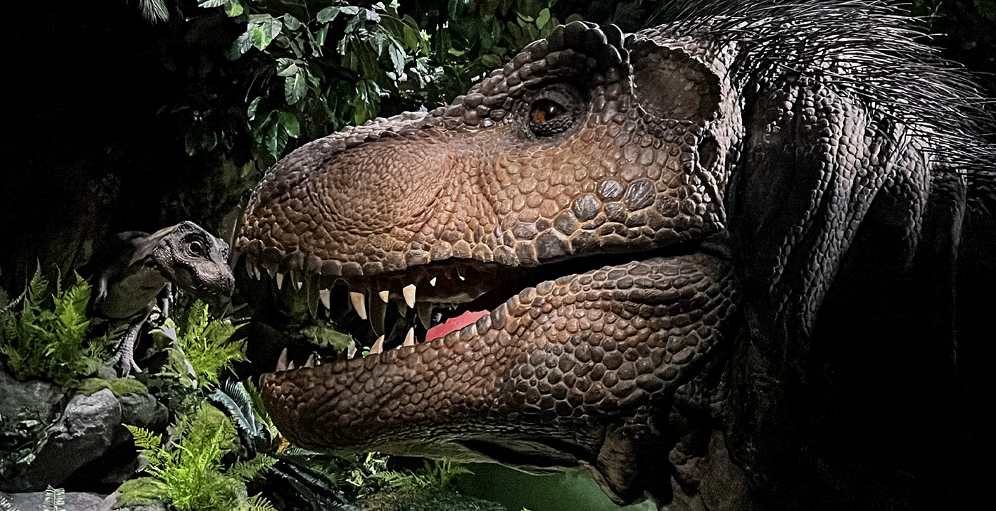 Video: natuurmuseum Naturalis opent dino-attractie met enorme animatronic