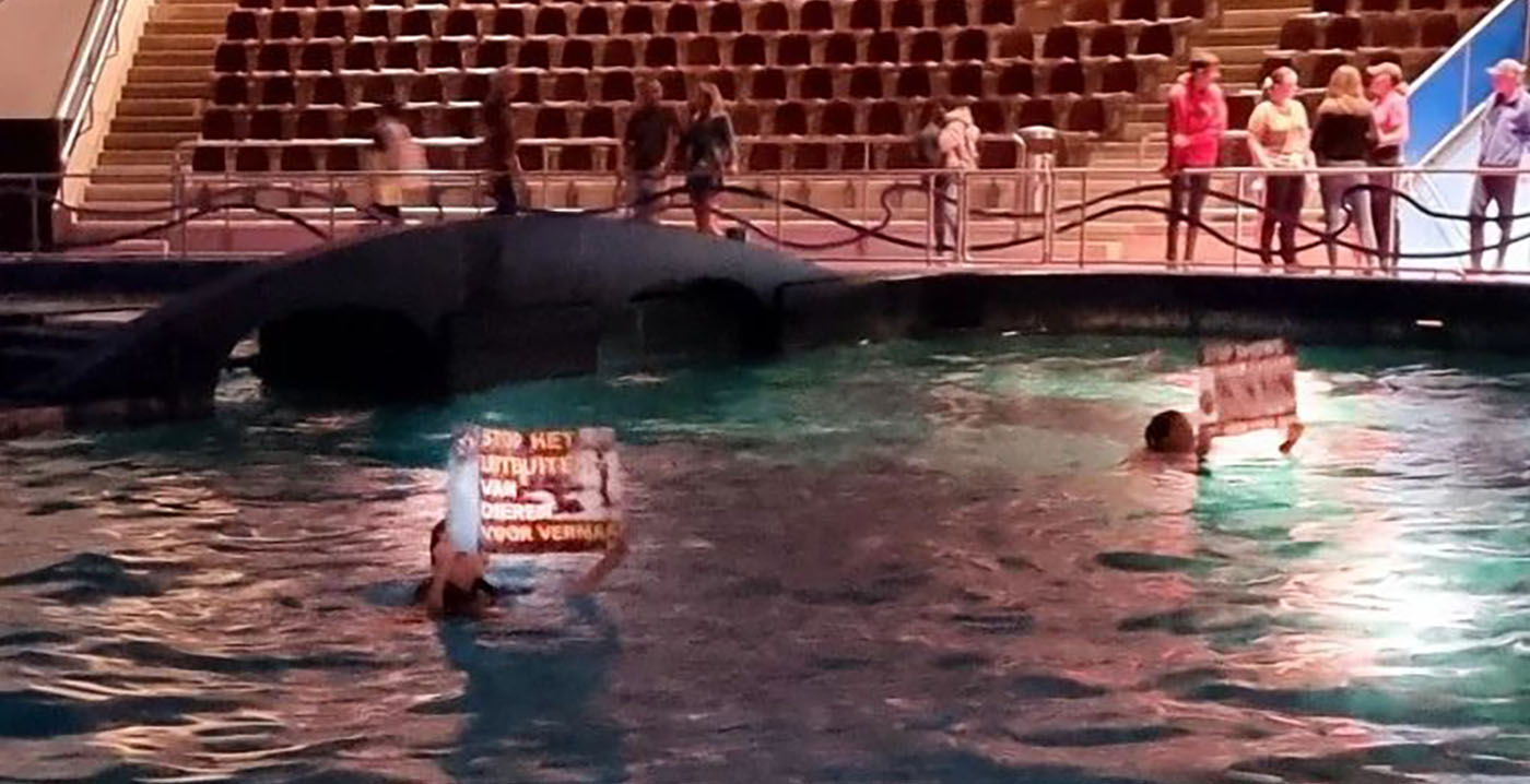 Dierenactivisten slaan voor de derde keer in een jaar toe in Dolfinarium Harderwijk