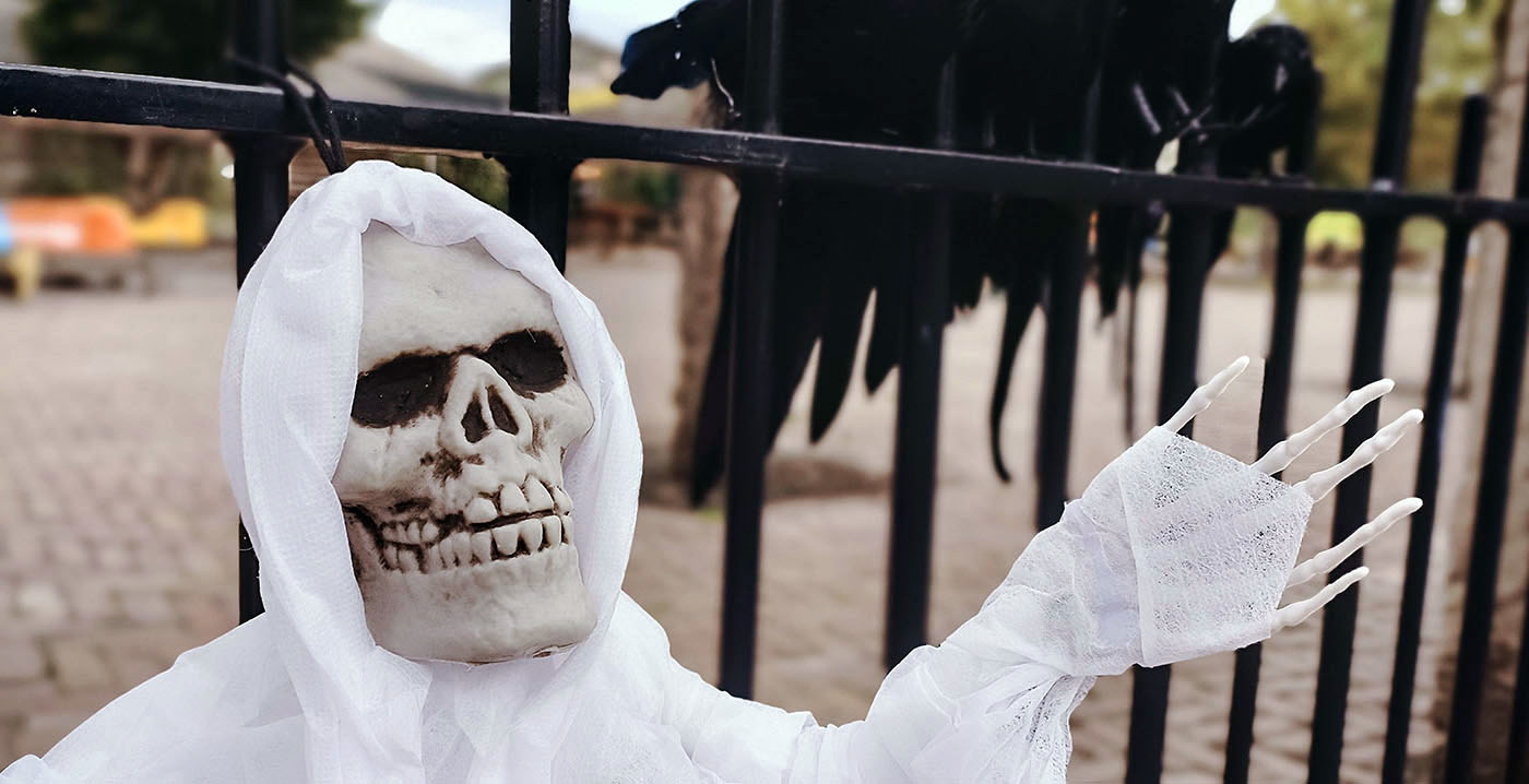 Brabantse dierentuin gaat Halloween vieren: Boeh in de Zoo