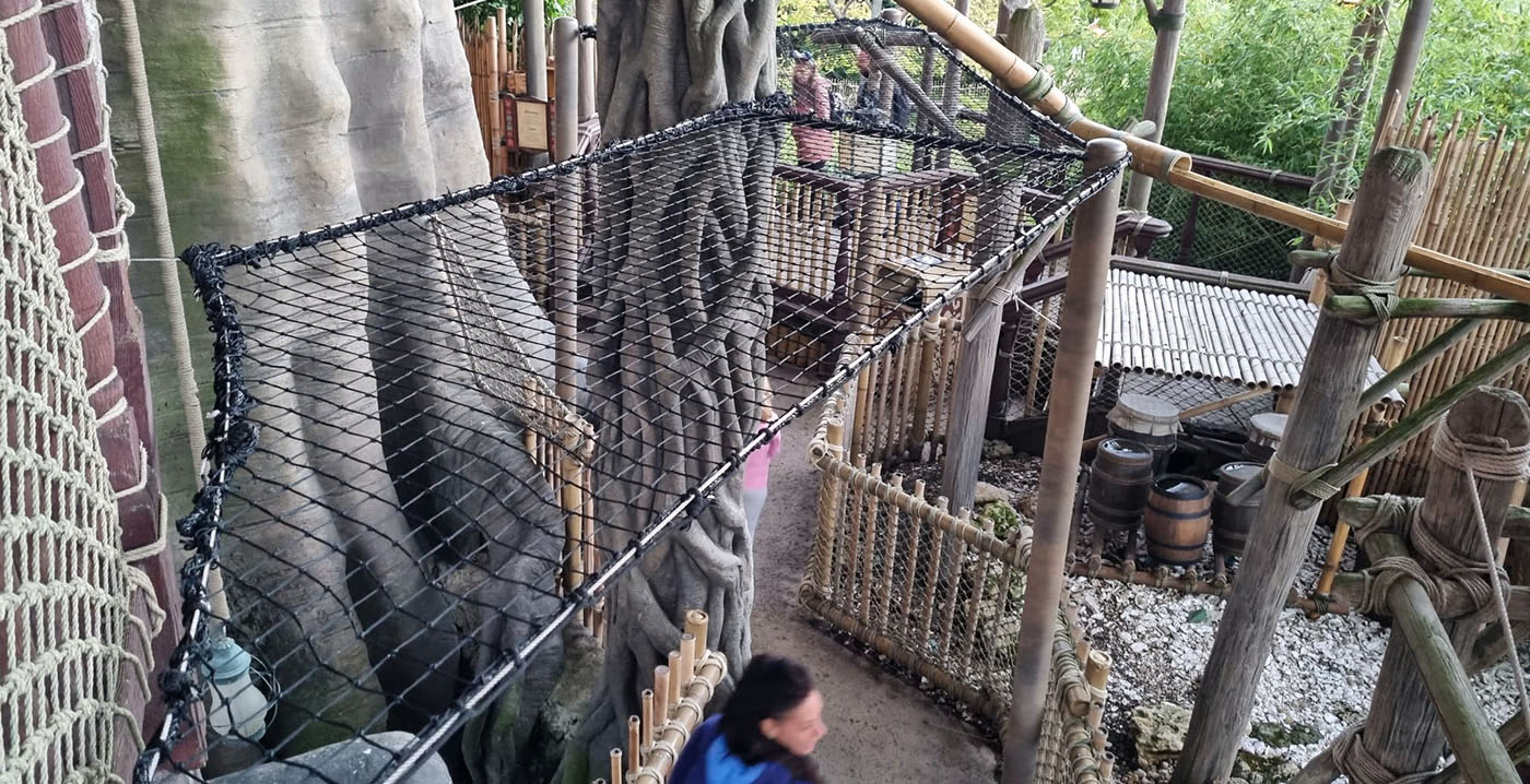 Foto's: Disneyland Paris hangt boomhut vol met veiligheidsnetten