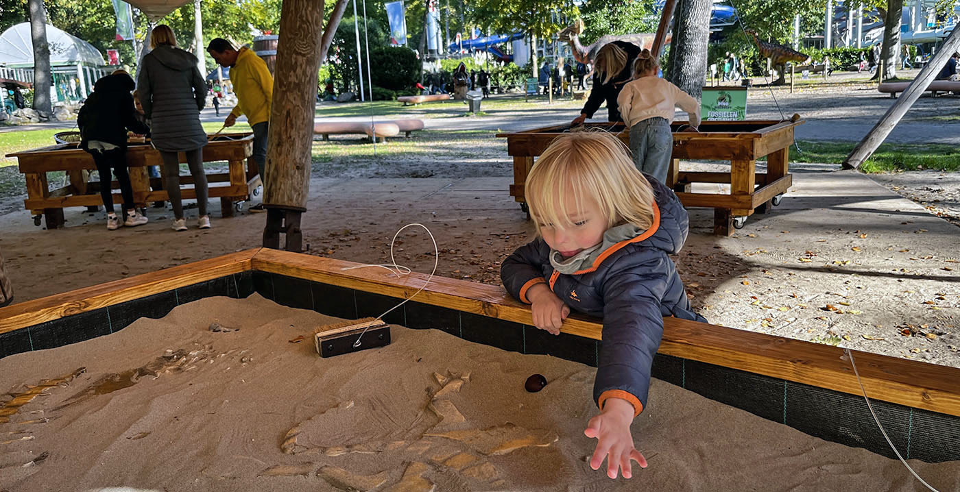 Dino Discovery in Duinrell: bezoekers kunnen fossielen opgraven