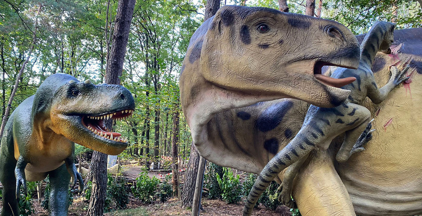 Nieuwe decors en andere indeling: DierenPark Amersfoort vernieuwt Dinobos