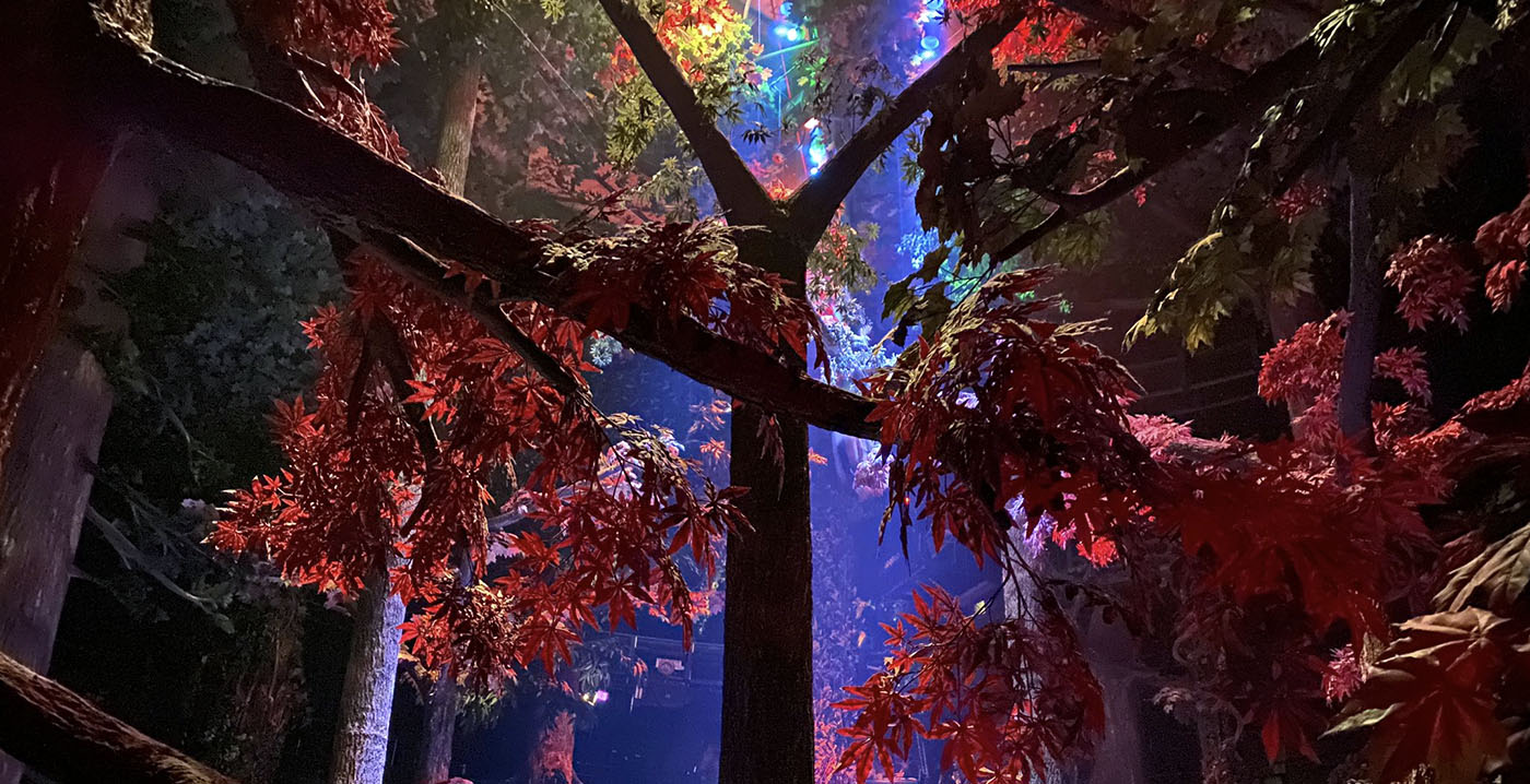 Efteling onthult: wat gebeurt er tijdens de maandenlange sluiting van Droomvlucht?