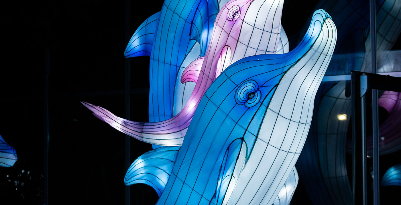 Foto's: lichtfestival Ouwehands Dierenpark staat in het teken van waterwezens