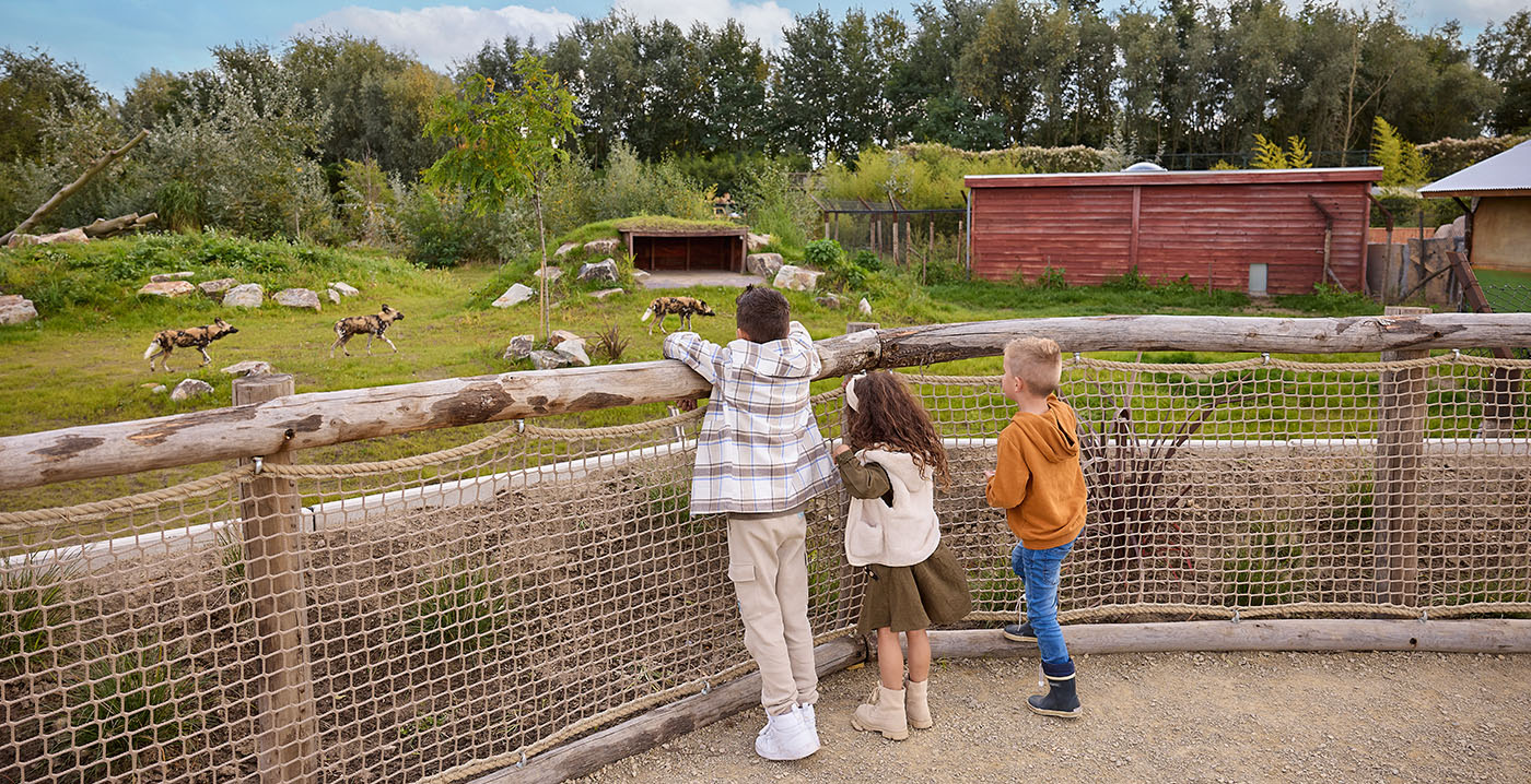 Nieuwe diersoorten en vernieuwde verblijven in ZooParc Overloon