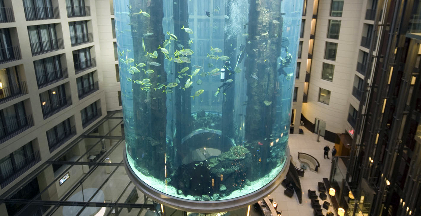 Enorme ravage in Berlijn na exploderen aquariumtank met 1500 tropische vissen