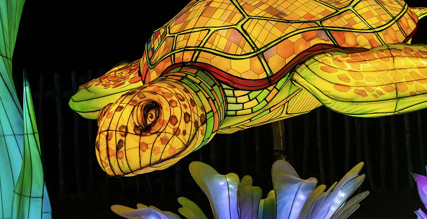 Lichtfestival Ouwehands Dierenpark met twee maanden verlengd