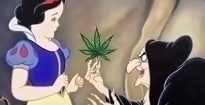 Disneyland Paris ontslaat medewerkers vanwege drugshandel