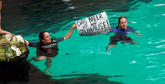 Nederlandse activisten verstoren dolfijnenshow in Duitsland