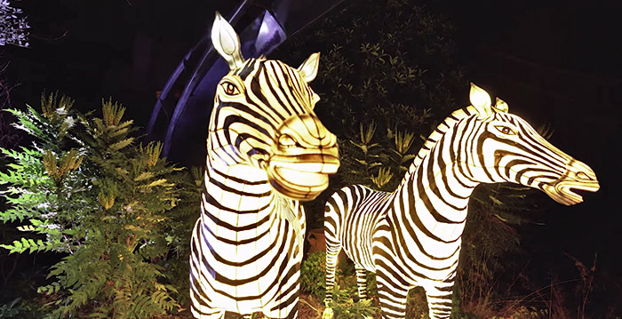 Afrikaans lichtfestival siert achtbaan in Phantasialand