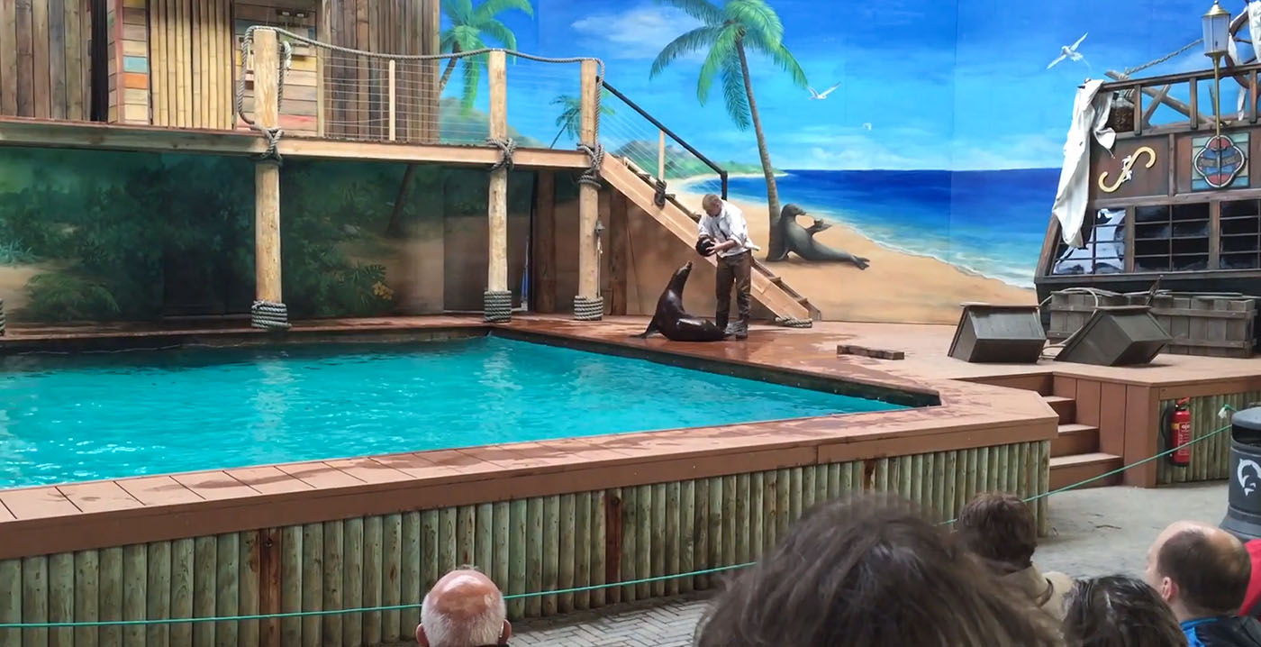 Dolfinarium krijgt jaren de tijd voor noodzakelijke aanpassingen aan dierenverblijven