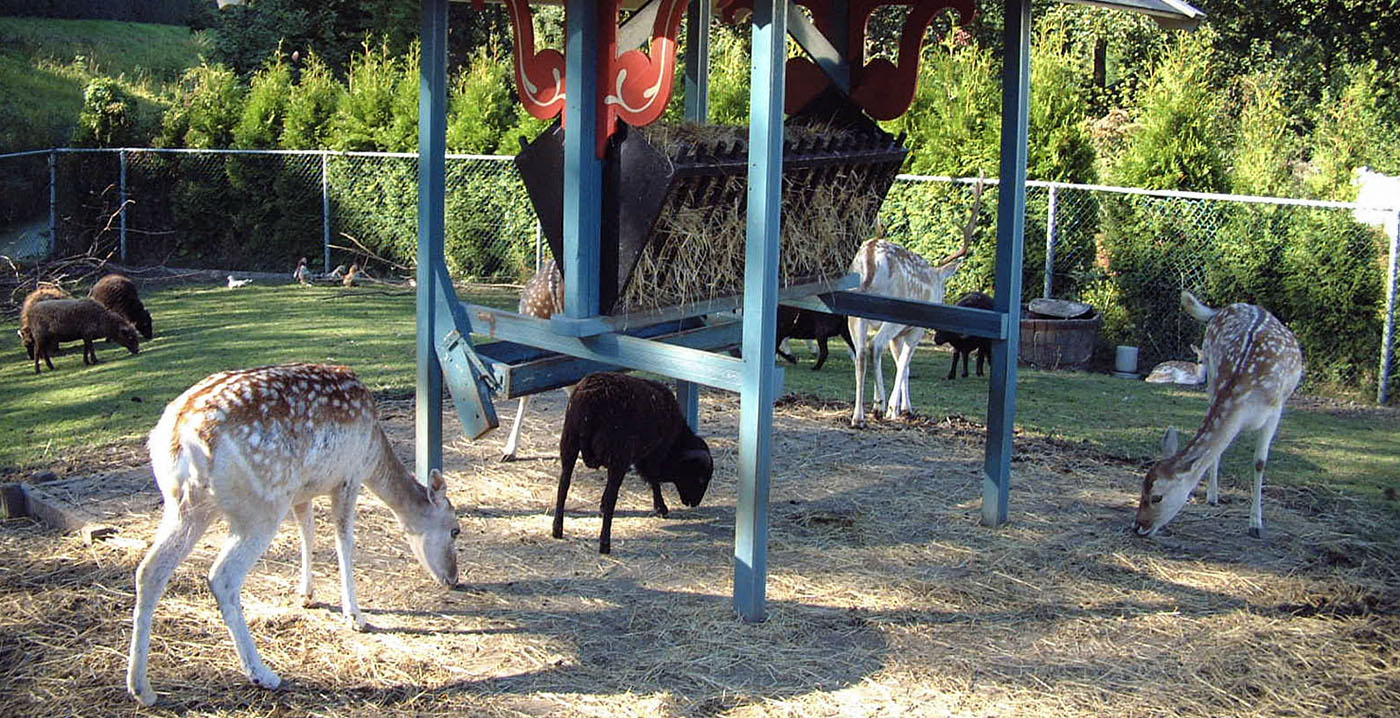 Sprookjeswonderland Enkhuizen dreigt damherten, wallaby's en zeboes kwijt te raken