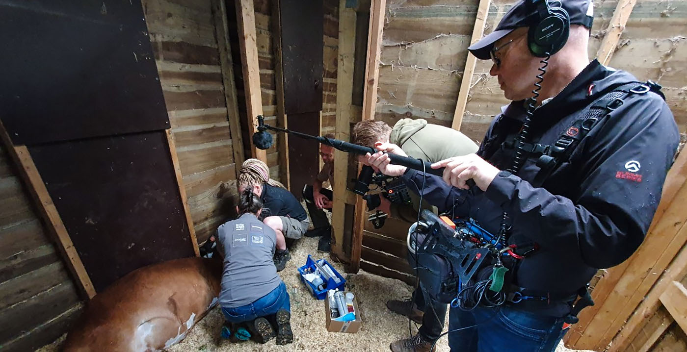 Achter de schermen bij Safaripark Beekse Bergen in nieuwe tv-serie