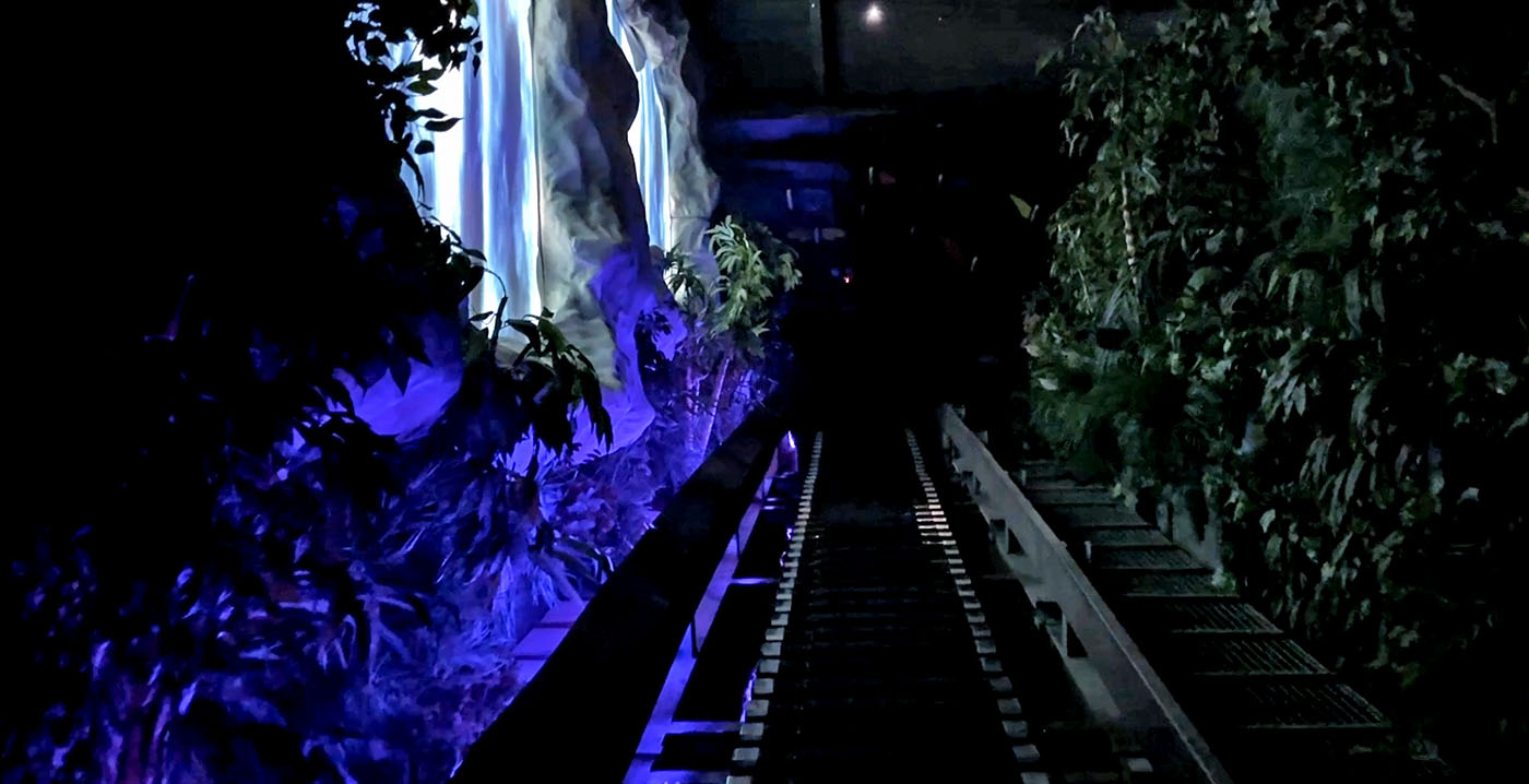 Video: Bobbejaanland opent overdekte waterbaan Terra Magma