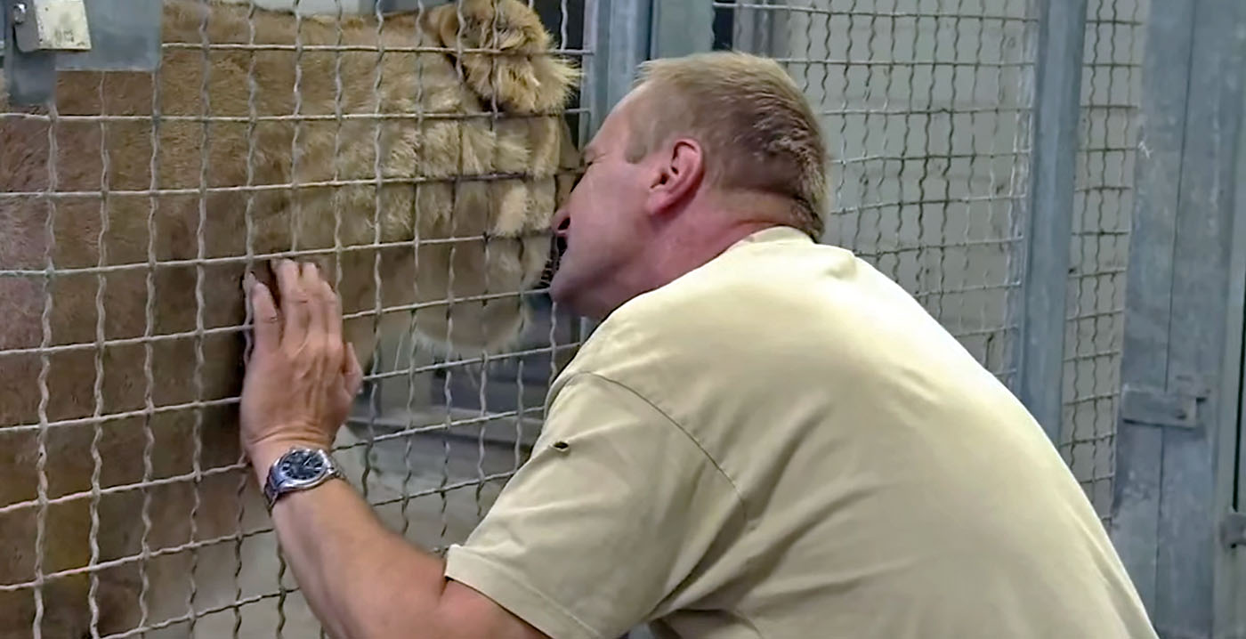 Dierentuinfans in alle staten na mysterieuze overplaatsing leeuwverzorger