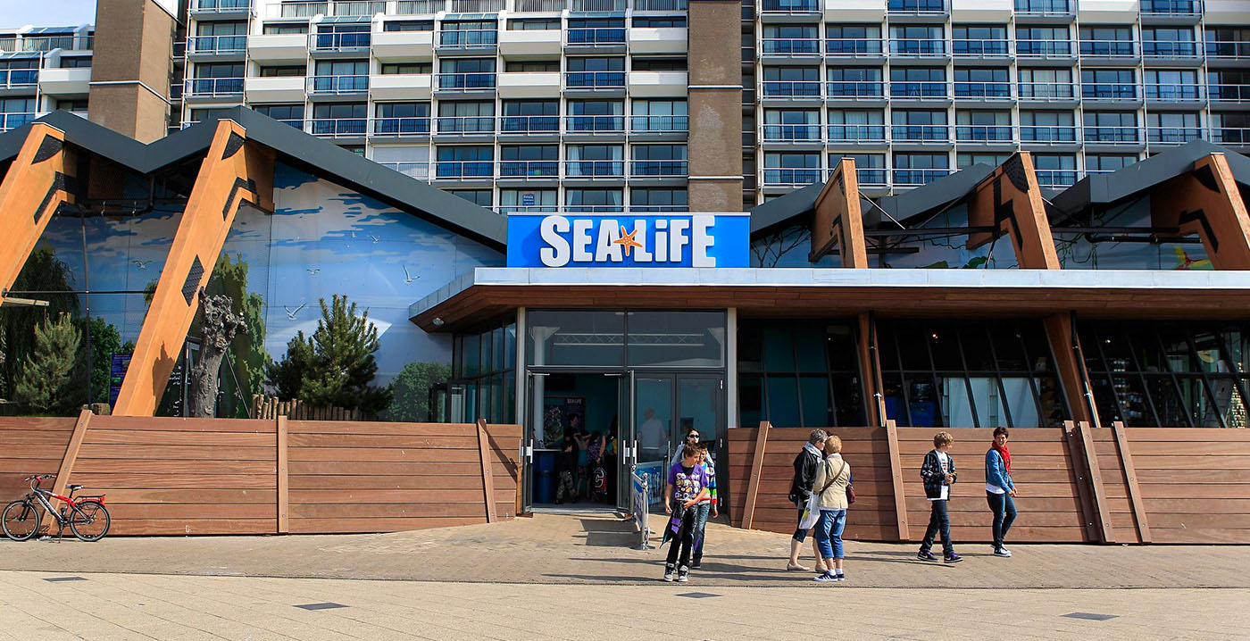 Dertig jaar Sea Life Scheveningen: vip-tours en nieuwe app