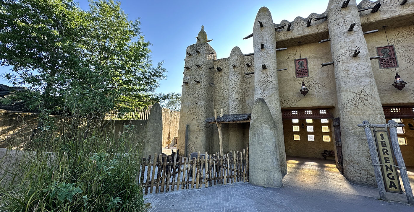 Foto's: Wildlands Emmen vernieuwt Afrikaanse boerderij