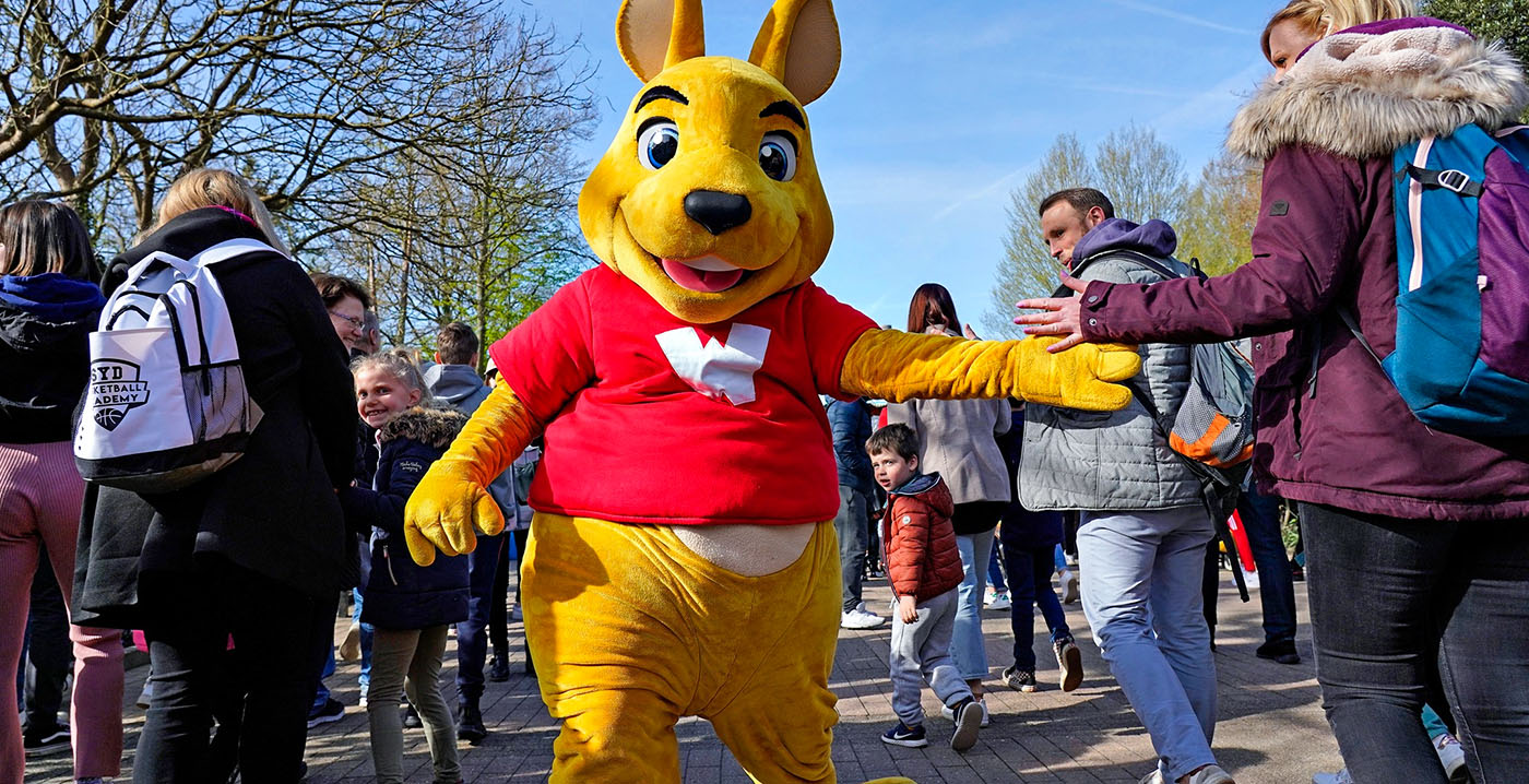 Entreekaarten voor 10 euro: ticketshop Walibi Belgium crasht