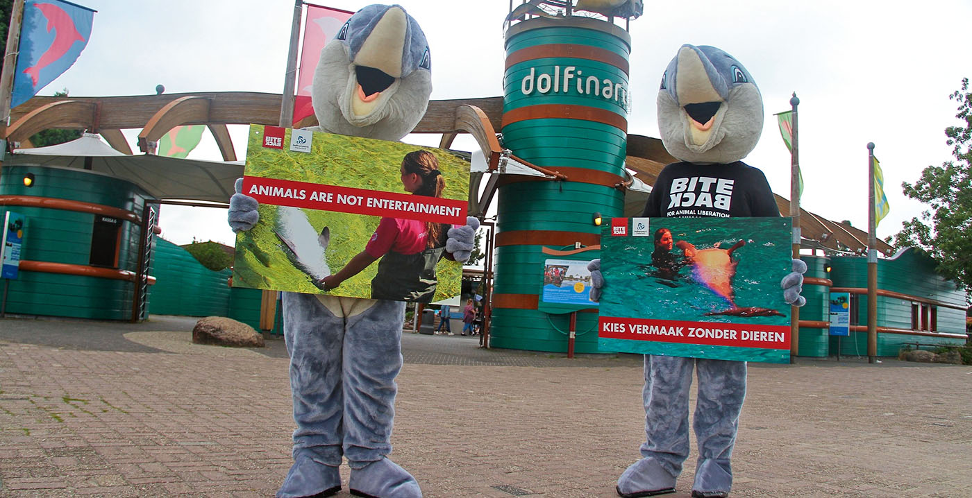NS en andere bedrijven stoppen samenwerking met Dolfinarium