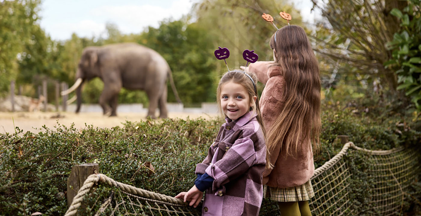 Halloween in de dierentuin: kerkhof met uitgestorven dieren