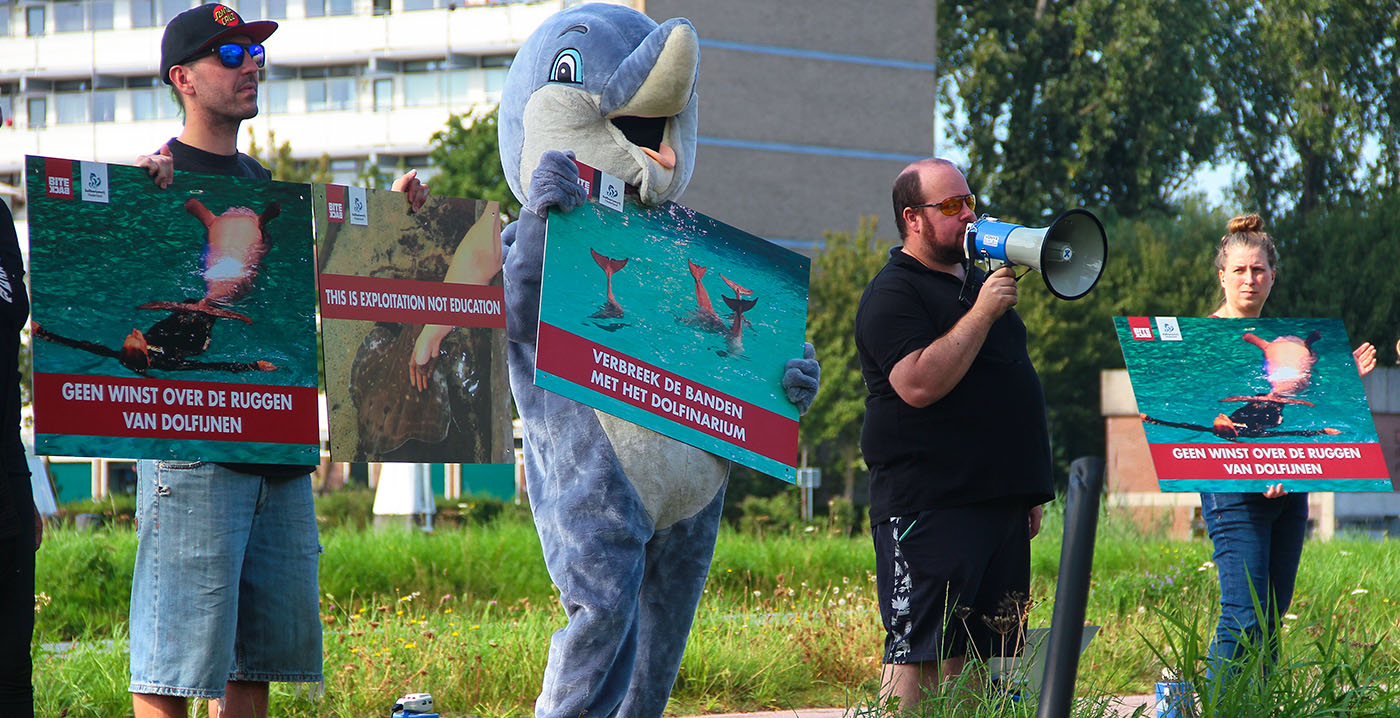 Dierenactivisten protesteren bij aanbieder van Dolfinarium-tickets
