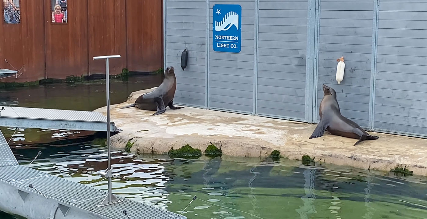 Wildlands gaat themagebied Nortica aanpakken: Scandinavische huisjes en zeehonden