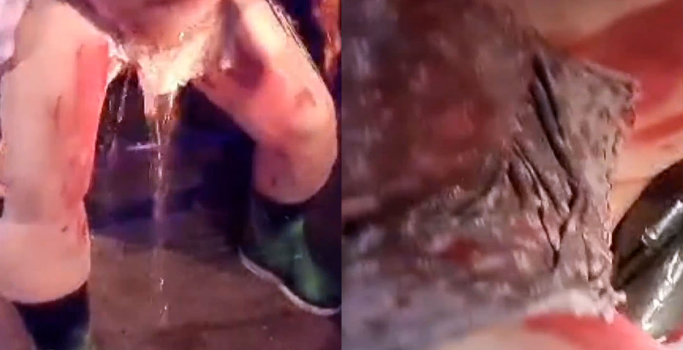 Absurde act in Movie Park: halloweenacteur speelt bevalling na, inclusief vruchtwater