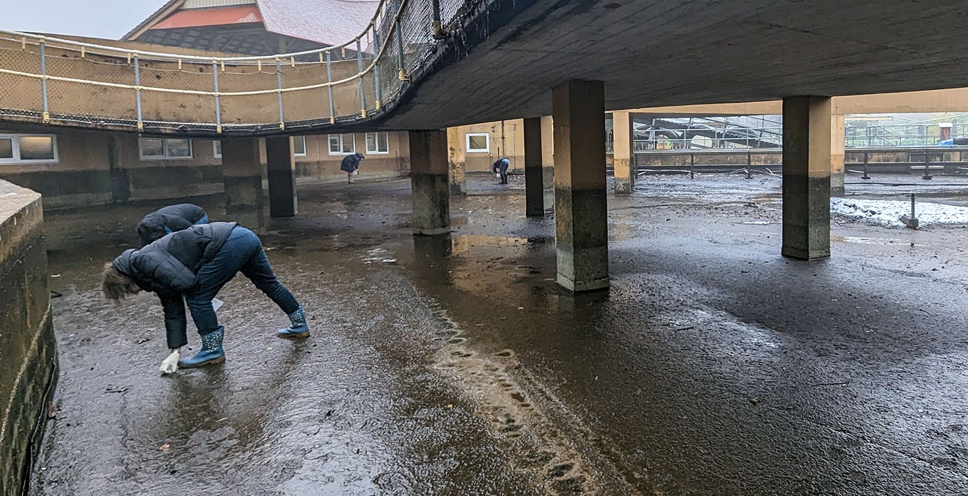 Avonturenpark Hellendoorn onthult hoeveel geld er in de wildwaterbaan gegooid is