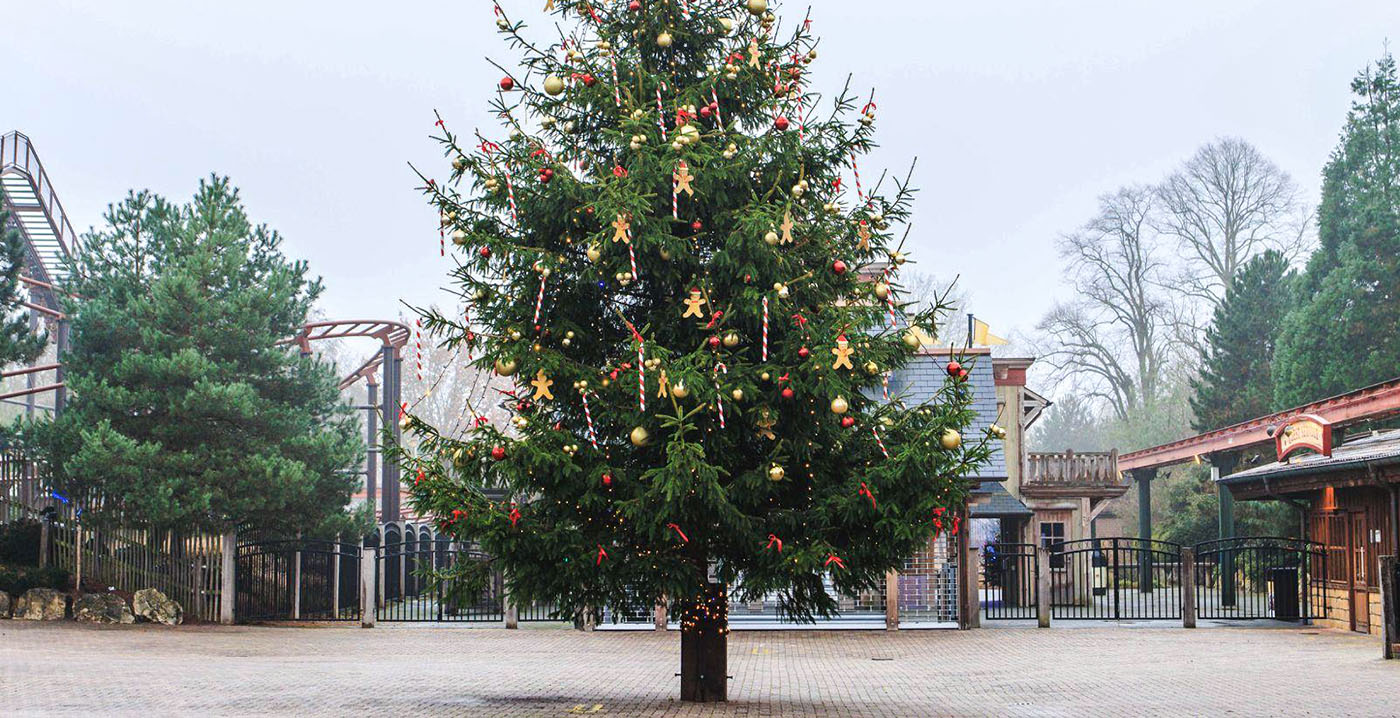 Winter in Slagharen: kerstboom opgetuigd, ijsbaan vanaf de kerstvakantie