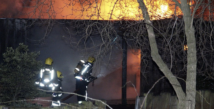 Aardvarken overleden bij brand in dierentuin Londen