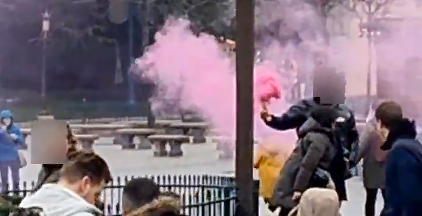Video: bezoeker Disneyland Paris steekt rookbom af, medewerkers grijpen in