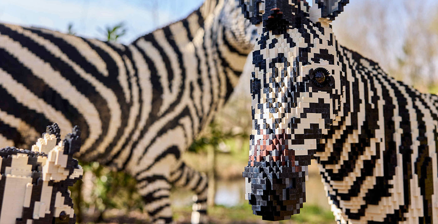 Lego-dieren in ZooParc Overloon: evenement uitgebreid