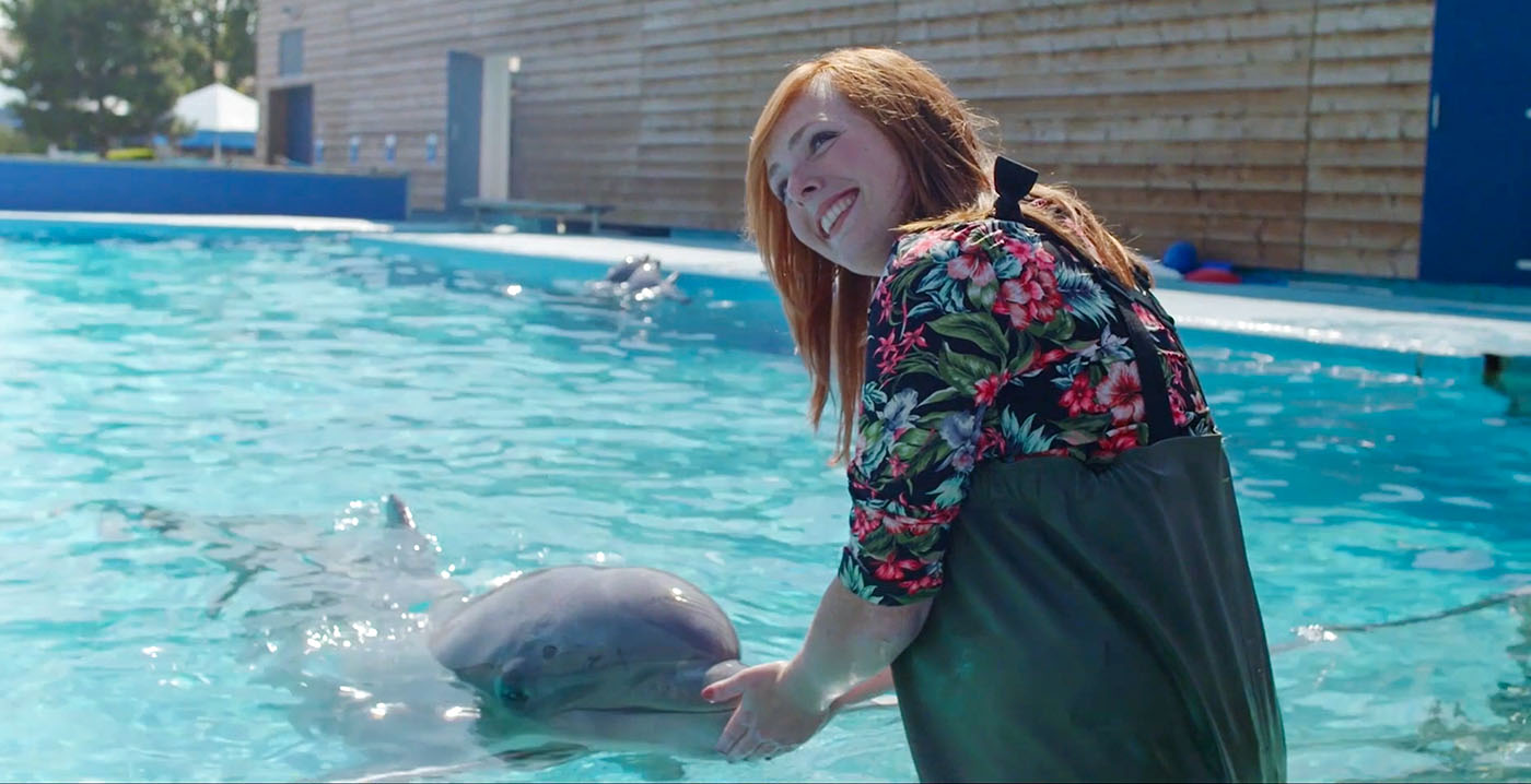 Dolfinarium krijgt tik op de vingers vanwege foto's met dolfijnen, maar park is zich van geen kwaad bewust