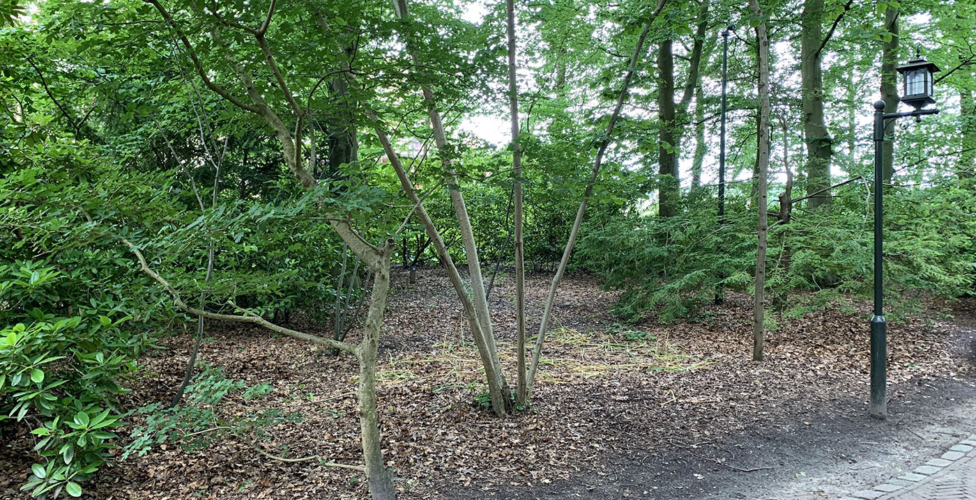 Hier komt het nieuwe Efteling-sprookje De Prinses op de Erwt te liggen