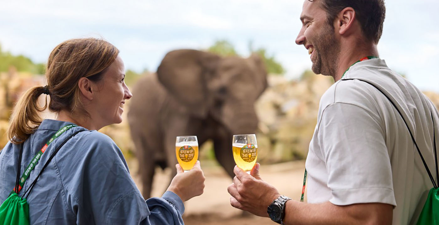 Derde editie van bierfestival Beekse Bergen: 80 procent tickets verkocht