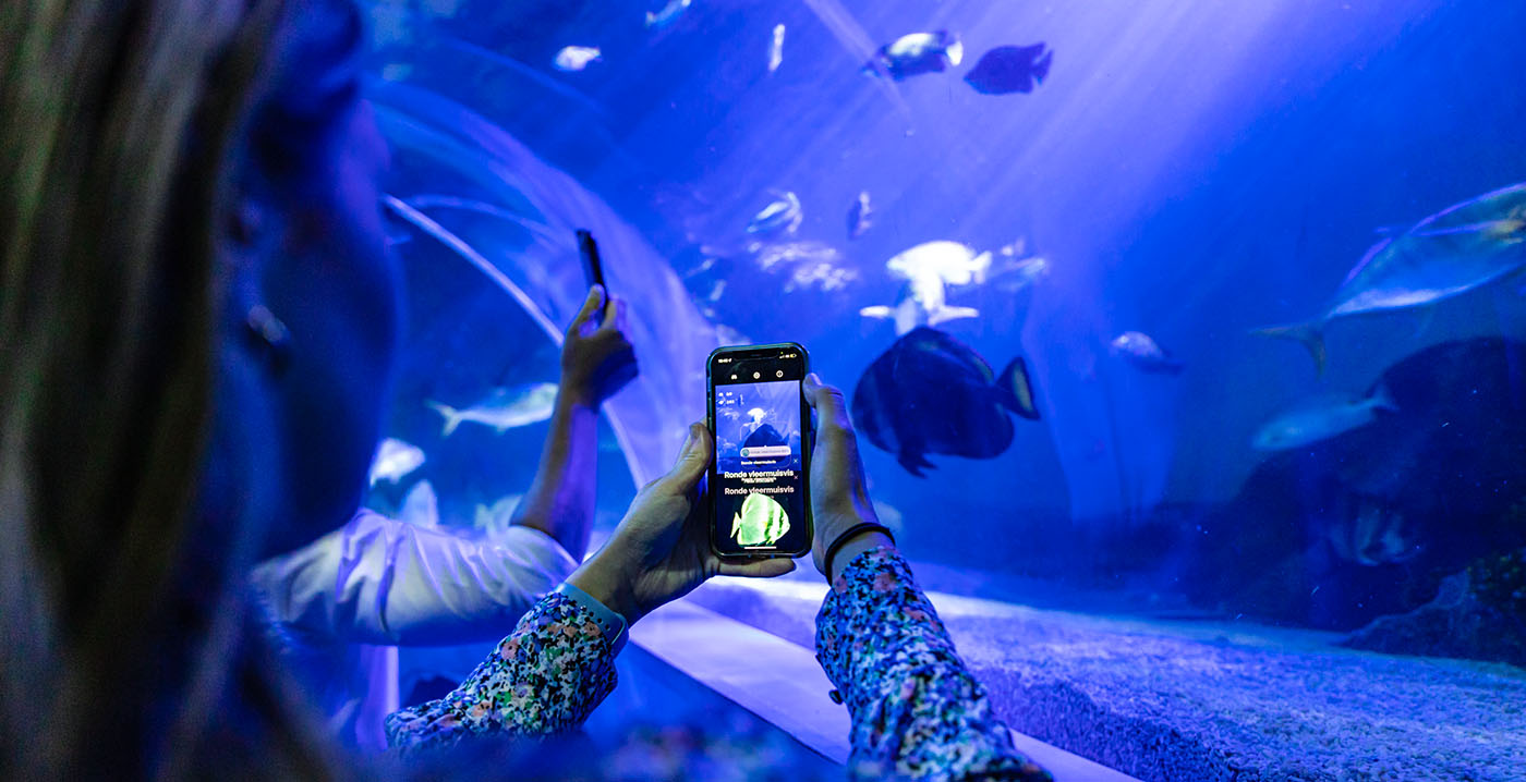 Dertig jaar Sea Life Scheveningen: vip-tours, nieuwe app en speurtocht