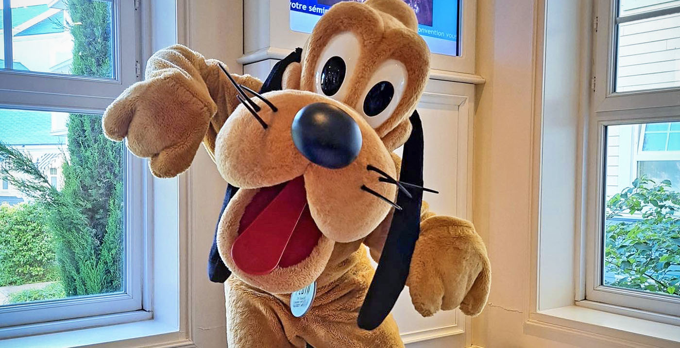 Disneyland Paris zoekt hondengeleider om bedwantsen op te sporen