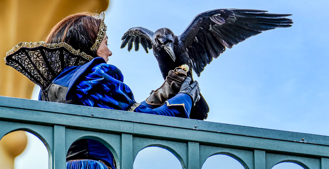 Landelijke ophokplicht vanwege vogelgriep geldt niet voor Efteling-show Raveleijn
