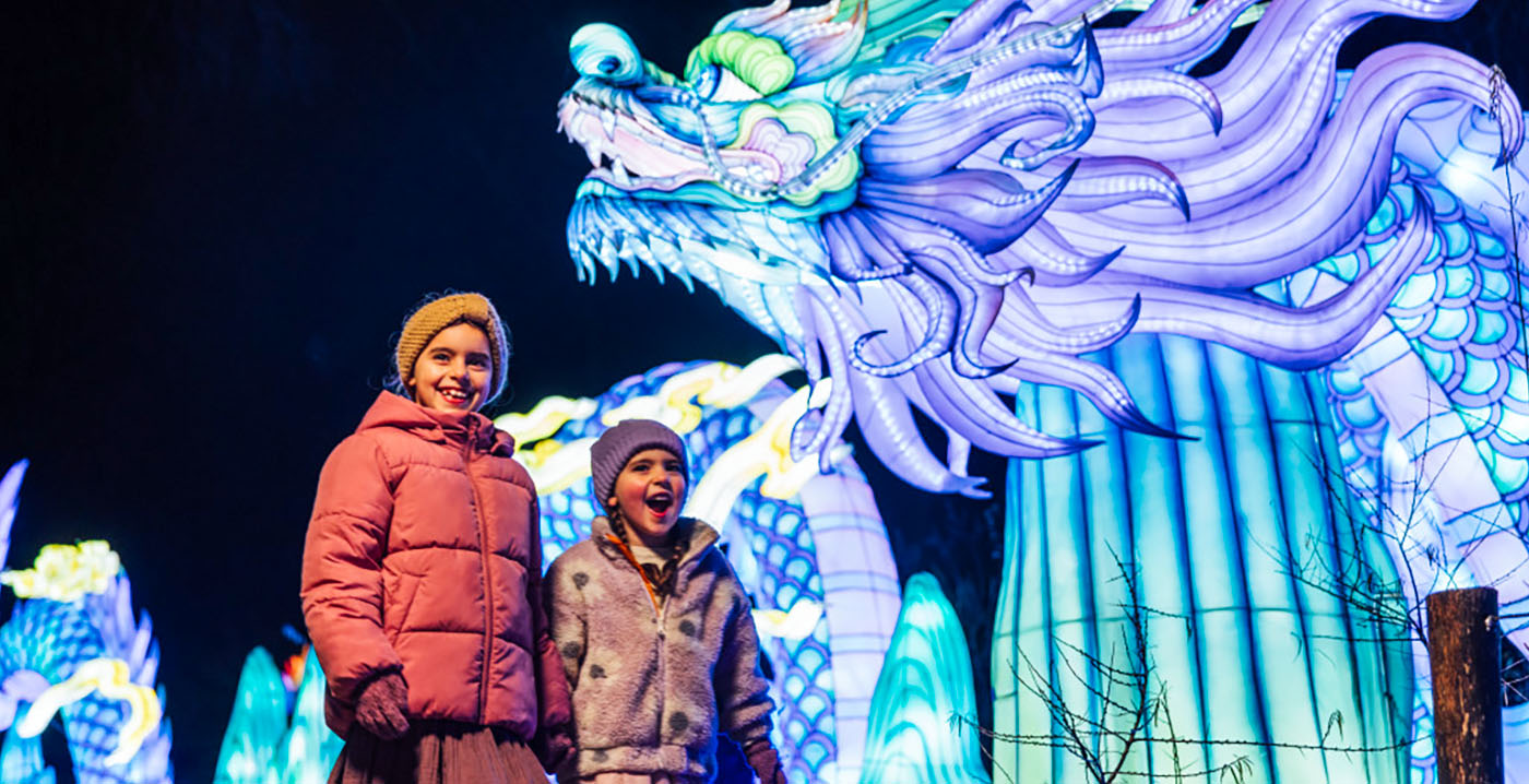 Lichtfestival Beekse Bergen is terug met nieuw thema en rolschaatsbaan