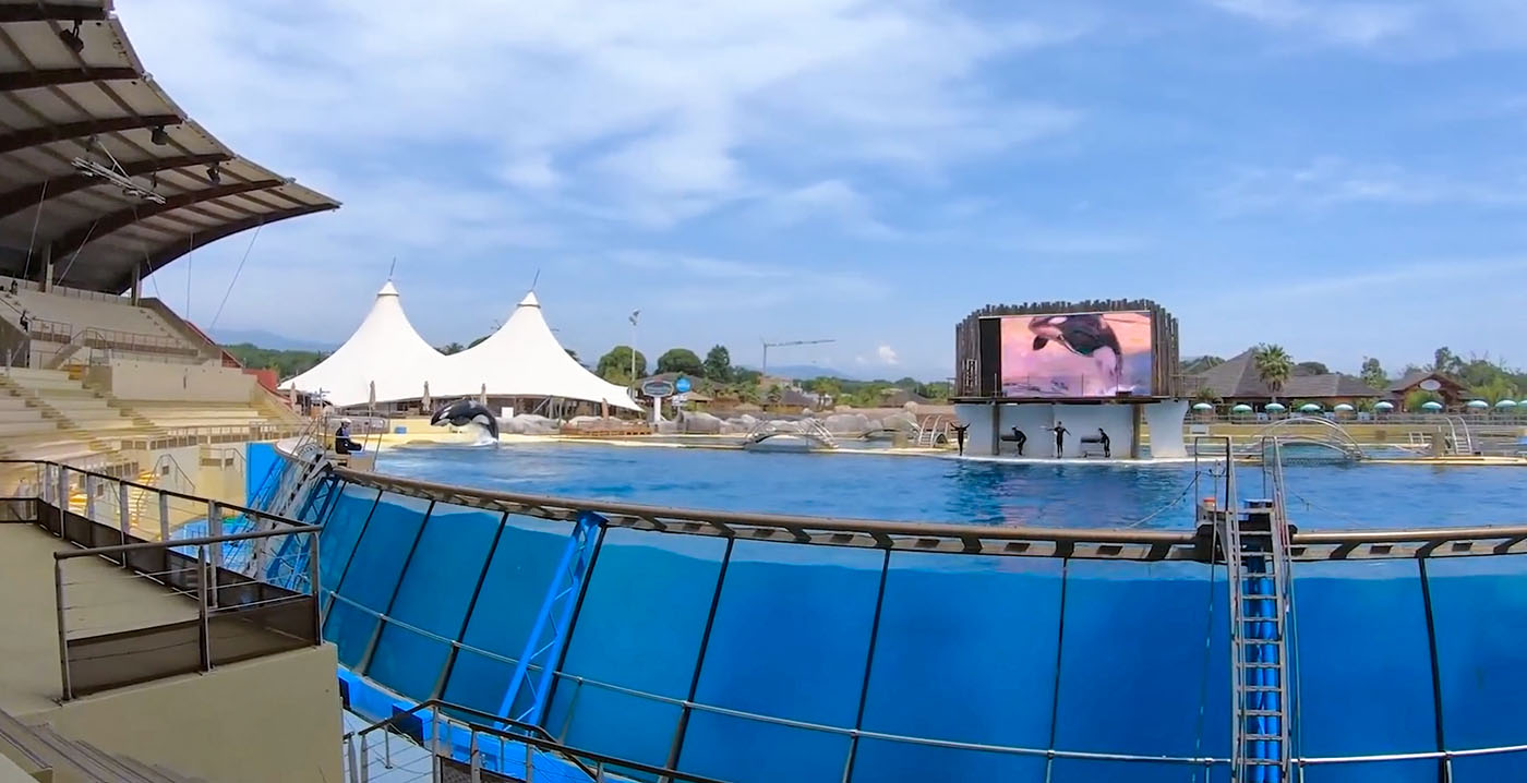 Frans dolfinarium gaat definitief dicht: doek valt voor Marineland aan de Côte d'Azur