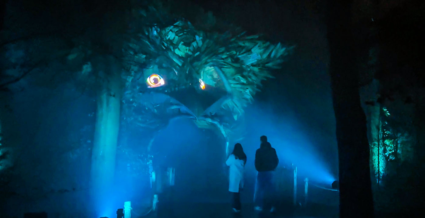 Video: dit kun je verwachten van Winterheul, het winterse lichtfestival in Apenheul