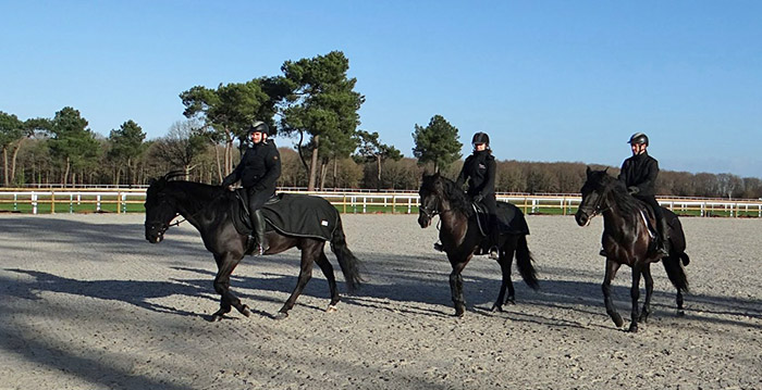 Efteling-paarden trainen in Frankrijk voor Raveleijn-show