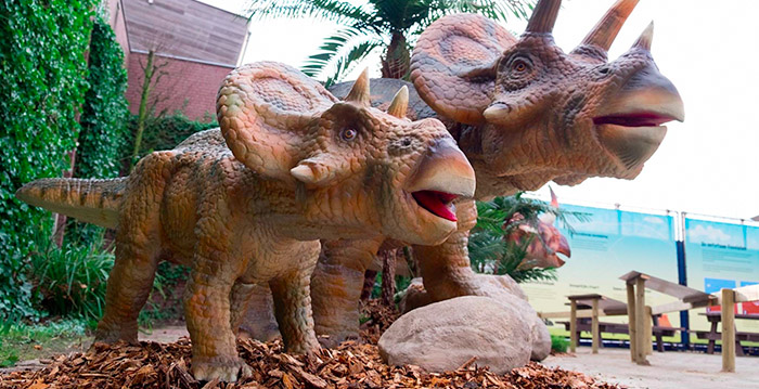 Eerste fase Dinoland Indoor in Zwolle geopend: 'Het loopt als een trein'