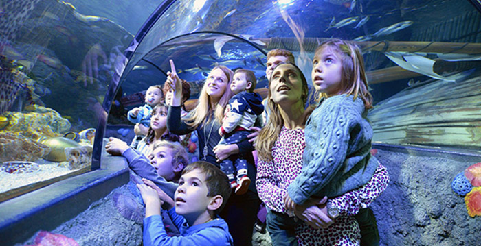Italiaans pretpark Gardaland sluit aquarium in verband met coronavirus