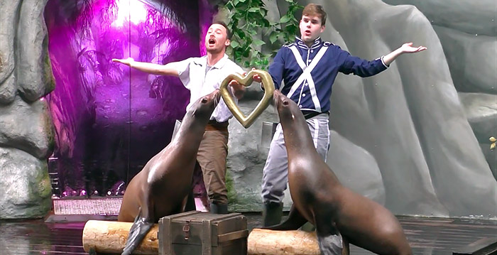 Dolfinarium vervangt zeeleeuwenshow door educatieve voorstelling