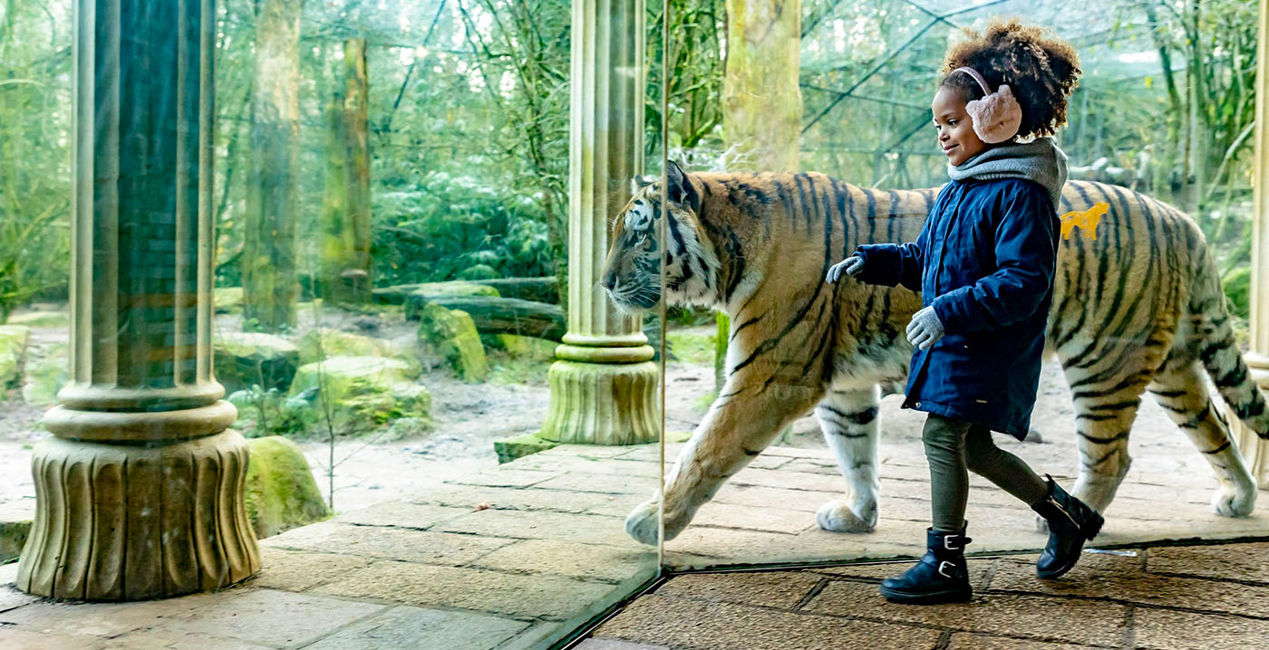 2024 was 'succesvol jaar' voor DierenPark Amersfoort: bijna 6 procent meer bezoekers
